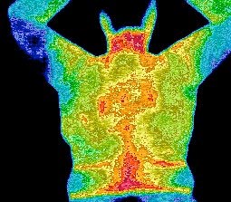 Thermography Image